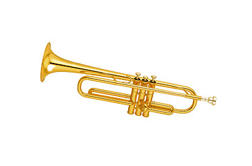 Image showing Golden trumpet isolated