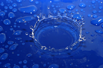Image showing Blue Crown