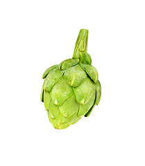 Image showing Ripe green artichoke vegetable isolated
