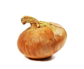 Image showing Ripe onion isolated
