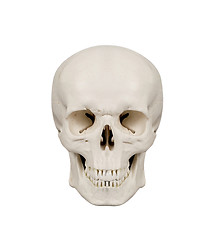 Image showing human scull isolated