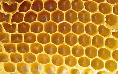 Image showing Honeycomb