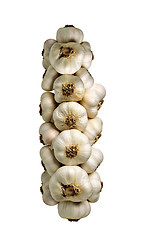 Image showing Bunch of garlic isolated