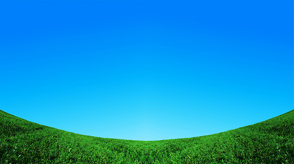 Image showing green field and blue sky background