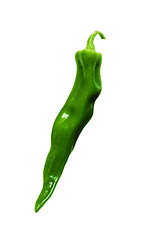 Image showing green pepper isolated