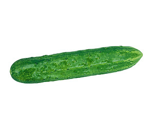 Image showing Cucumber isolated