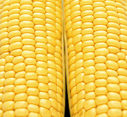 Image showing close-up corn