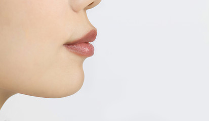 Image showing Beautiful female lips