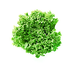 Image showing green leaves lettuce isolated