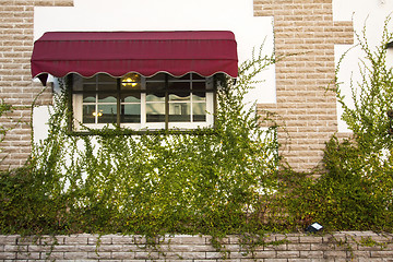 Image showing Luxury window and wall in a garden