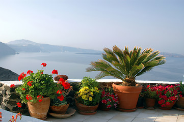 Image showing flowers in pots over sea