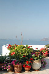 Image showing flowers in pots over sea