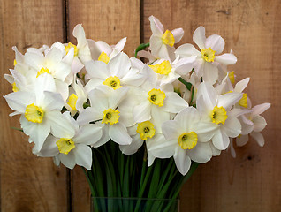 Image showing Bunch of white spring narcissus