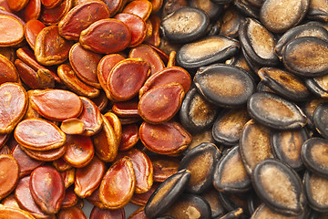 Image showing Black and red melon seeds for Chinese New Year
