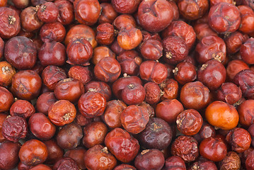 Image showing Dried red juniper (Juniperus oxycedrus) berries