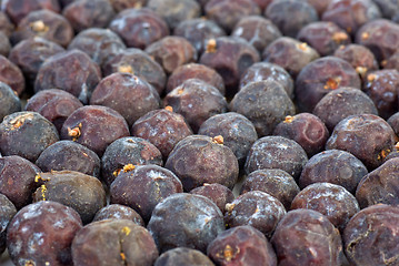 Image showing Herbs: Dried high juniper (Juniperus excelsq) berries