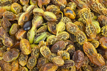 Image showing Dried sophora japonica  beans