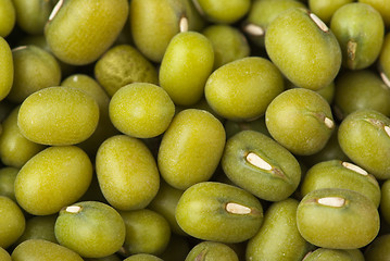 Image showing Abstract background: Green mung beans