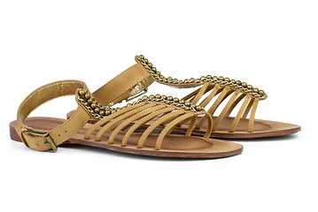 Image showing Pair of brown leather female sandals