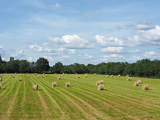 Image showing Hay Bale Landscape