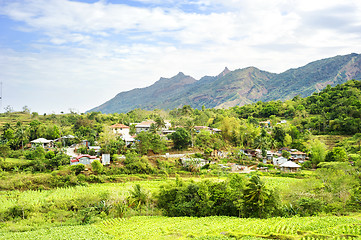 Image showing Agriculture in Philippines