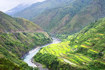 Image showing Rice terrace