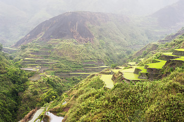 Image showing Raining mountains