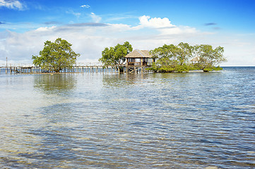 Image showing Arbor in the ocean