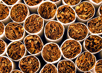 Image showing Tobacco Background