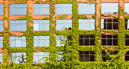 Image showing Chicago office from the river with brick