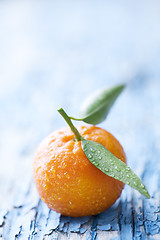 Image showing oranges