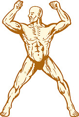 Image showing male human anatomy body builder flexing muscle