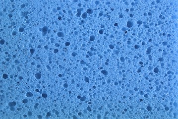 Image showing Blue sponge