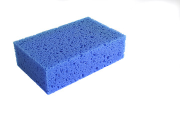 Image showing Blue sponge