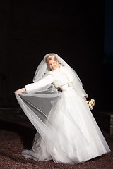 Image showing beautiful  bride  outdoors at night