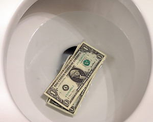 Image showing Money Down the Toilet