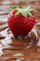 Image showing strawberry in chocolate