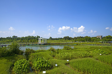 Image showing Hong Kong Wetland Park