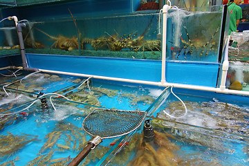 Image showing Seafood market in Hong Kong