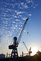 Image showing Cranes at sunset