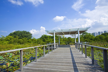 Image showing Hong Kong Wetland Park