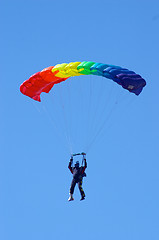 Image showing Skydiver