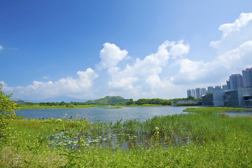 Image showing Hong Kong Wetland Park