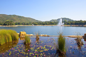 Image showing A lake with grasses under blue sky