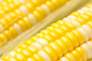 Image showing Corn, close-up.