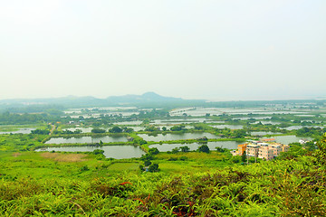 Image showing Fish ponds and farmland in Hong Kong