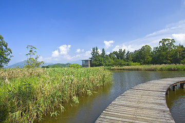 Image showing Hong Kong Wetland Park