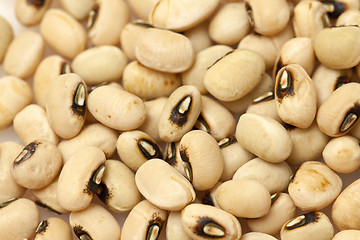 Image showing Yellow beans background