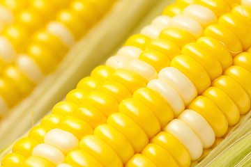 Image showing Corn, close-up shot.