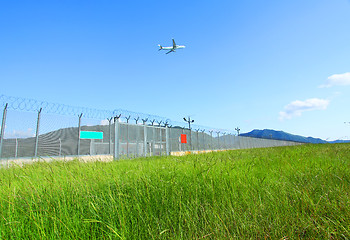 Image showing Airplane fly over the green grasses